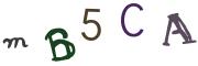 Recopier le code Captcha de l'image