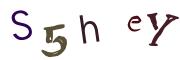 Recopier le code Captcha de l'image